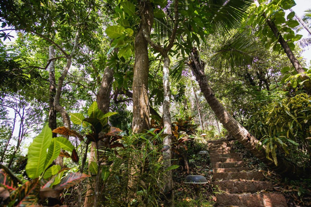 Casa Susegad Hotell Madgaon Eksteriør bilde