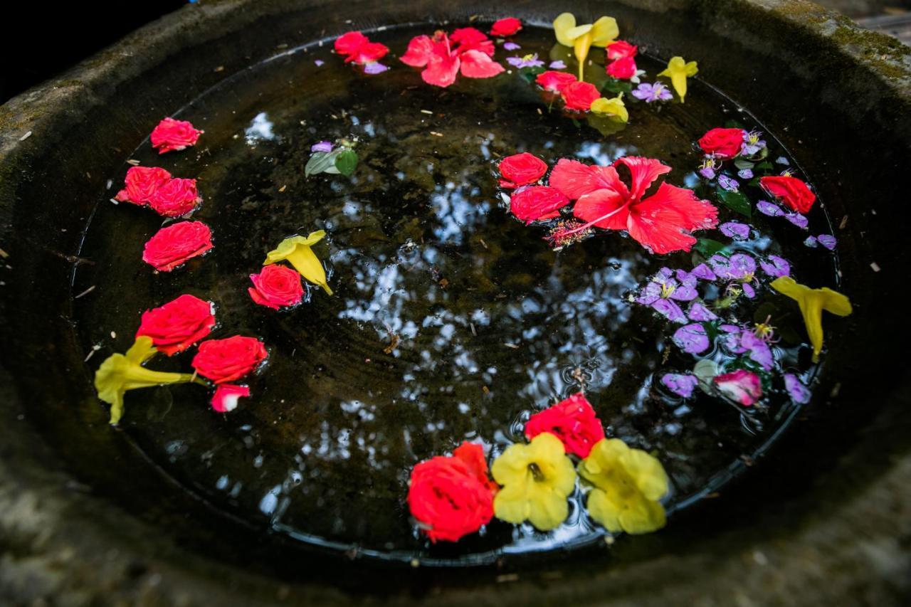 Casa Susegad Hotell Madgaon Eksteriør bilde