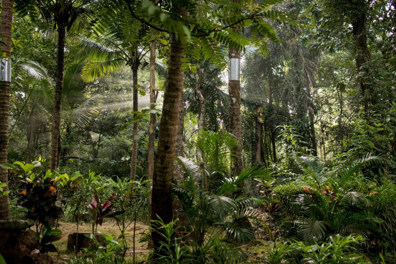Casa Susegad Hotell Madgaon Eksteriør bilde